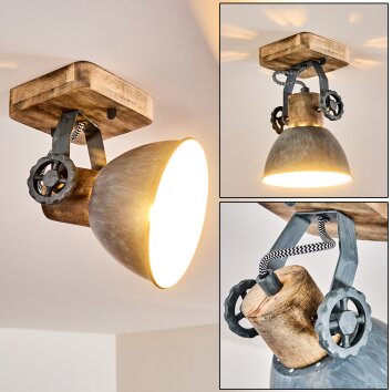 Orny Plafondlamp Grijs, 1-licht