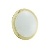 Eglo PLANET 1 Muur en plafond verlichting Messing
