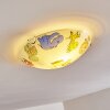 Pizzy Zoo Plafondlamp Chroom, Wit, 2-lichts