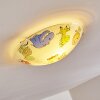 Pizzy Zoo Plafondlamp Chroom, Wit, 2-lichts