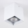 Awuna Plafondlamp Wit, 1-licht