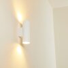 Brachy Buiten muurverlichting LED Wit, 2-lichts