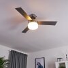 Vevey plafondventilator Hout licht, Nikkel mat, Zilver, 2-lichts, Afstandsbediening