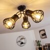Gainesville Plafondlamp Zwart, 3-lichts