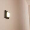 Alkmaar Buiten muurverlichting LED Antraciet, 1-licht