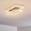 Veyrier Plafondlamp LED Staal geborsteld, 2-lichts
