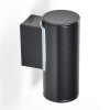Brachy Buiten muurverlichting LED Zwart, 2-lichts
