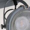 Steinhauer Mexlite Plafondlamp Grijs, 2-lichts