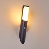 Nalmaibrück Buiten muurverlichting Antraciet, 1-licht, Bewegingsmelder