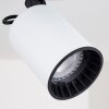 Kullaberg Plafondlamp Wit, 1-licht