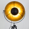 Maloy Staande lamp Chroom, Zwart, 1-licht