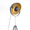 Maloy Staande lamp Chroom, Zwart, 1-licht
