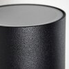 Froslev Buiten muurverlichting LED Zwart, 2-lichts