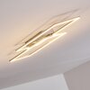 Veyrier Plafondlamp LED Staal geborsteld, 2-lichts