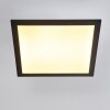 Essaouira Plafondlamp LED Zwart, 1-licht, Afstandsbediening