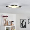 Essaouira Plafondlamp LED Zwart, 1-licht, Afstandsbediening