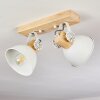 Orny Plafondlamp Wit, 2-lichts