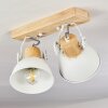 Orny Plafondlamp Wit, 2-lichts