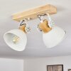 Orny Plafondlamp Wit, 2-lichts