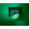 Paul Neuhaus Q-MIA Plafondlamp LED Antraciet, 1-licht, Afstandsbediening