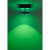 Paul Neuhaus Q-MIA Plafondlamp LED Antraciet, 1-licht, Afstandsbediening