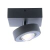 Paul Neuhaus Q-MIA Plafondlamp LED Antraciet, 1-licht, Afstandsbediening