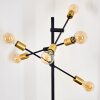 Coppet Staande lamp Zwart-Goud, 6-lichts