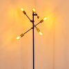 Coppet Staande lamp Zwart-Goud, 6-lichts