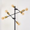Coppet Staande lamp Zwart-Goud, 6-lichts