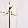 Coppet Staande lamp Zwart-Goud, 6-lichts