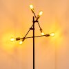 Coppet Staande lamp Zwart-Goud, 6-lichts