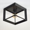 Traryd Plafondlamp Zwart, 1-licht