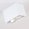 Betsie Plafondlamp Wit, 2-lichts