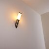 Norburg Buiten muurverlichting roestvrij staal, 1-licht