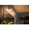 Philips Hue Ambiance White Adore Spot Wit, 3-lichts, Afstandsbediening