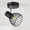 Bolderslev Plafondlamp Chroom, Zwart, 1-licht