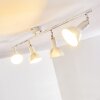 Polmak Plafondlamp Goud, Wit, 4-lichts