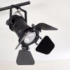 Lichinga Plafondlamp Zwart, 2-lichts