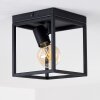 Ryssby Plafondlamp Zwart, 1-licht