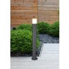 Trio Hoosic Padverlichting Antraciet, 1-licht