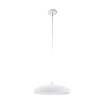 EGLO connect RIODEVA-C Hanger LED Wit, 1-licht, Kleurwisselaar