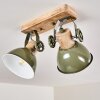 Orny Plafondlamp Groen, 2-lichts