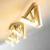 Sakami Plafondlamp LED Nikkel mat, 8-lichts