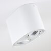 Quimper Plafondlamp Wit, 2-lichts