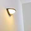 Carano Buiten muurverlichting LED Zwart, 1-licht, Bewegingsmelder