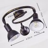 Polmak Plafondlamp Zwart-Goud, 3-lichts