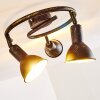 Polmak Plafondlamp Zwart-Goud, 3-lichts