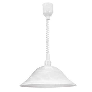 Eglo ALESSANDRA Hanglamp Wit, 1-licht