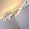 Paul Neuhaus POLINA Plafondlamp LED roestvrij staal, 2-lichts