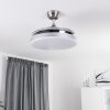 Bendigo plafondventilator LED Chroom, 1-licht